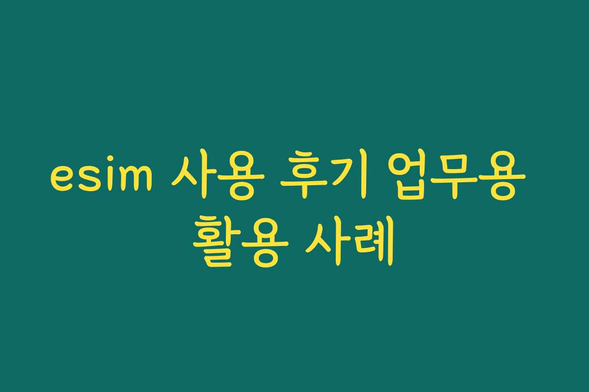 esim 사용 후기 업무용 활용 사례