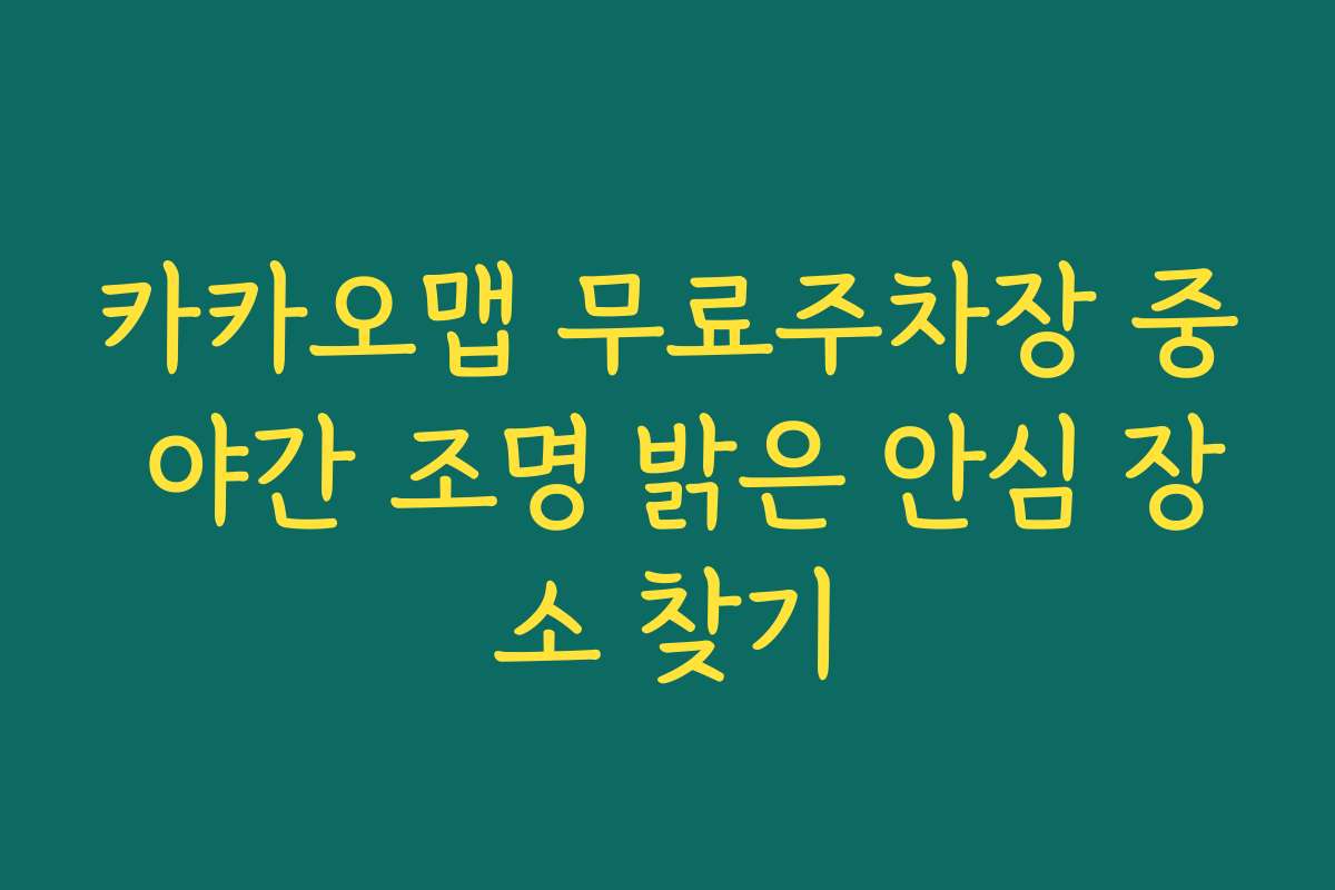 카카오맵 무료주차장 중 야간 조명 밝은 안심 장소 찾기