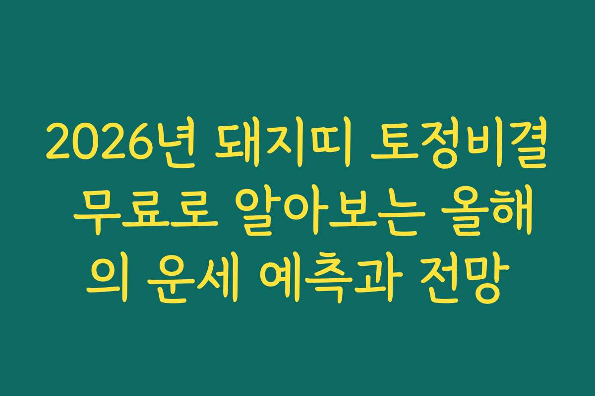 2026년 돼지띠 토정비결 무료로 알아보는 올해의 운세 예측과 전망