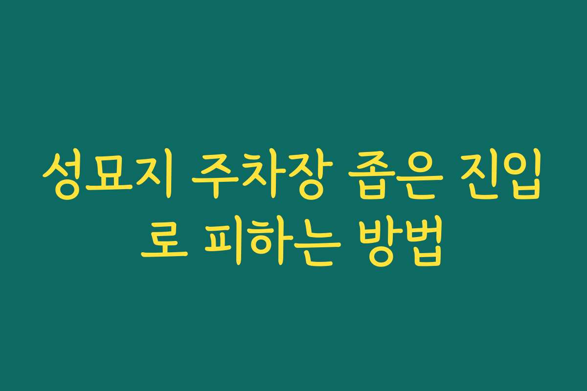 성묘지 주차장 좁은 진입로 피하는 방법