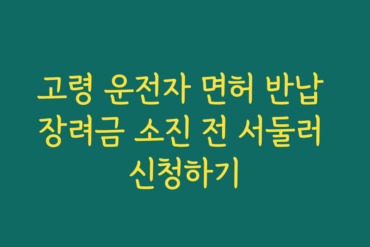 고령 운전자 면허 반납 장려금 소진 전 서둘러 신청하기