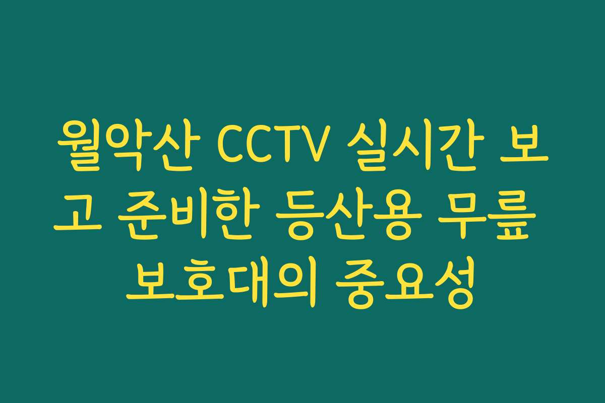 월악산 CCTV 실시간 보고 준비한 등산용 무릎 보호대의 중요성