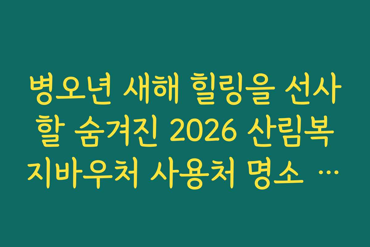 병오년 새해 힐링을 선사할 숨겨진 2026 산림복지바우처 사용처 명소 소개