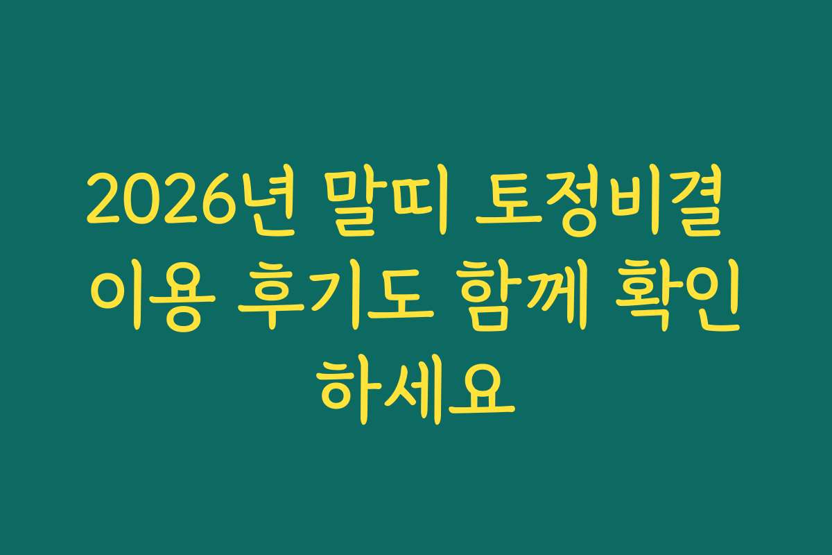 2026년 말띠 토정비결 이용 후기도 함께 확인하세요