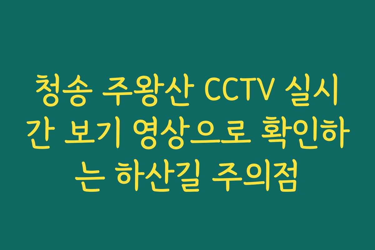 청송 주왕산 CCTV 실시간 보기 영상으로 확인하는 하산길 주의점