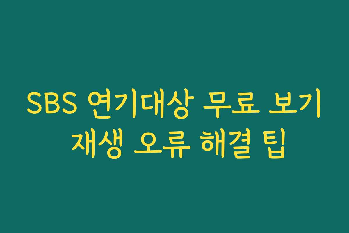 SBS 연기대상 무료 보기 재생 오류 해결 팁
