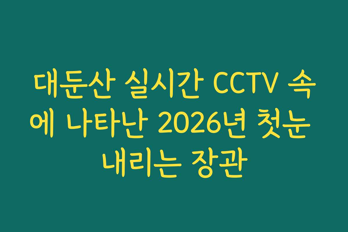 대둔산 실시간 CCTV 속에 나타난 2026년 첫눈 내리는 장관