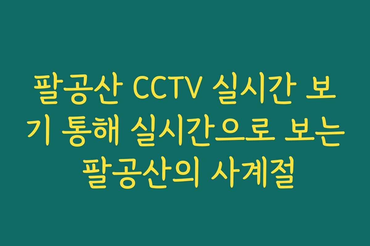 팔공산 CCTV 실시간 보기 통해 실시간으로 보는 팔공산의 사계절