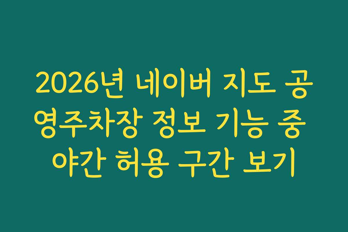 2026년 네이버 지도 공영주차장 정보 기능 중 야간 허용 구간 보기