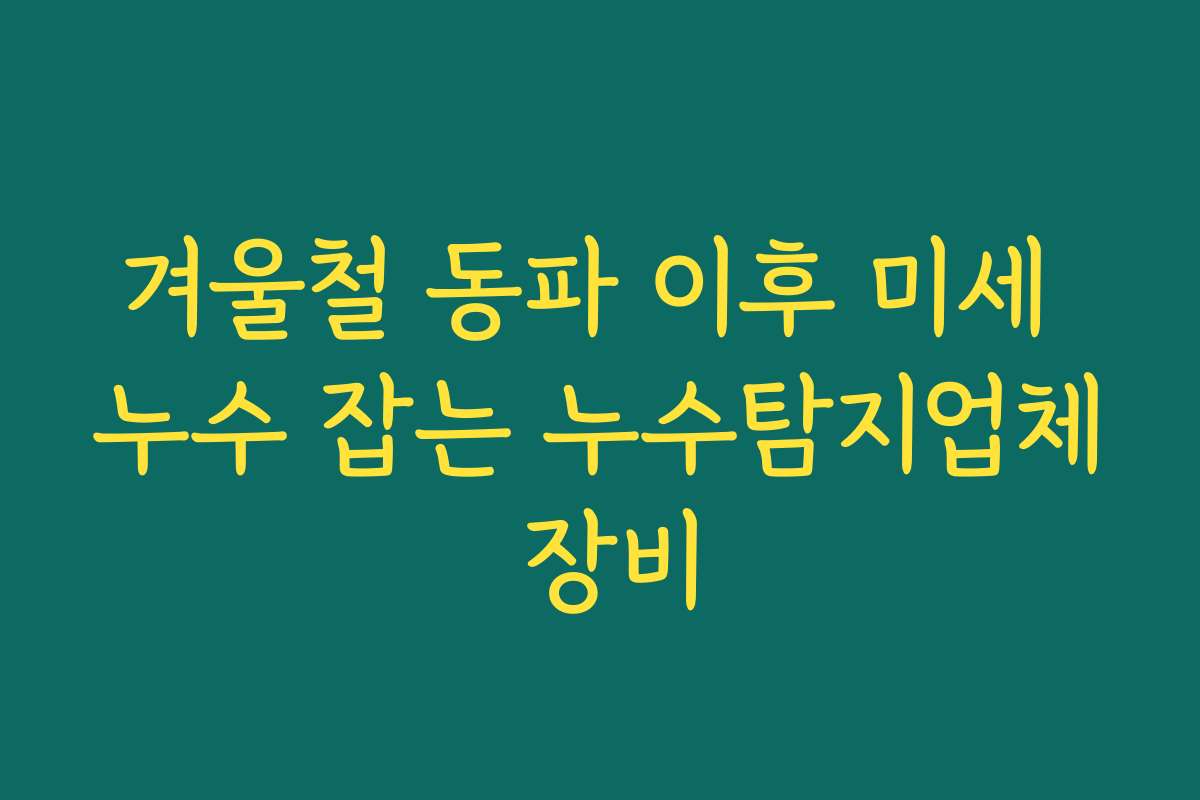 겨울철 동파 이후 미세 누수 잡는 누수탐지업체 장비