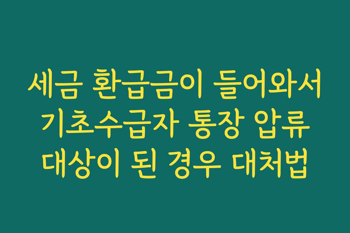 세금 환급금이 들어와서 기초수급자 통장 압류 대상이 된 경우 대처법
