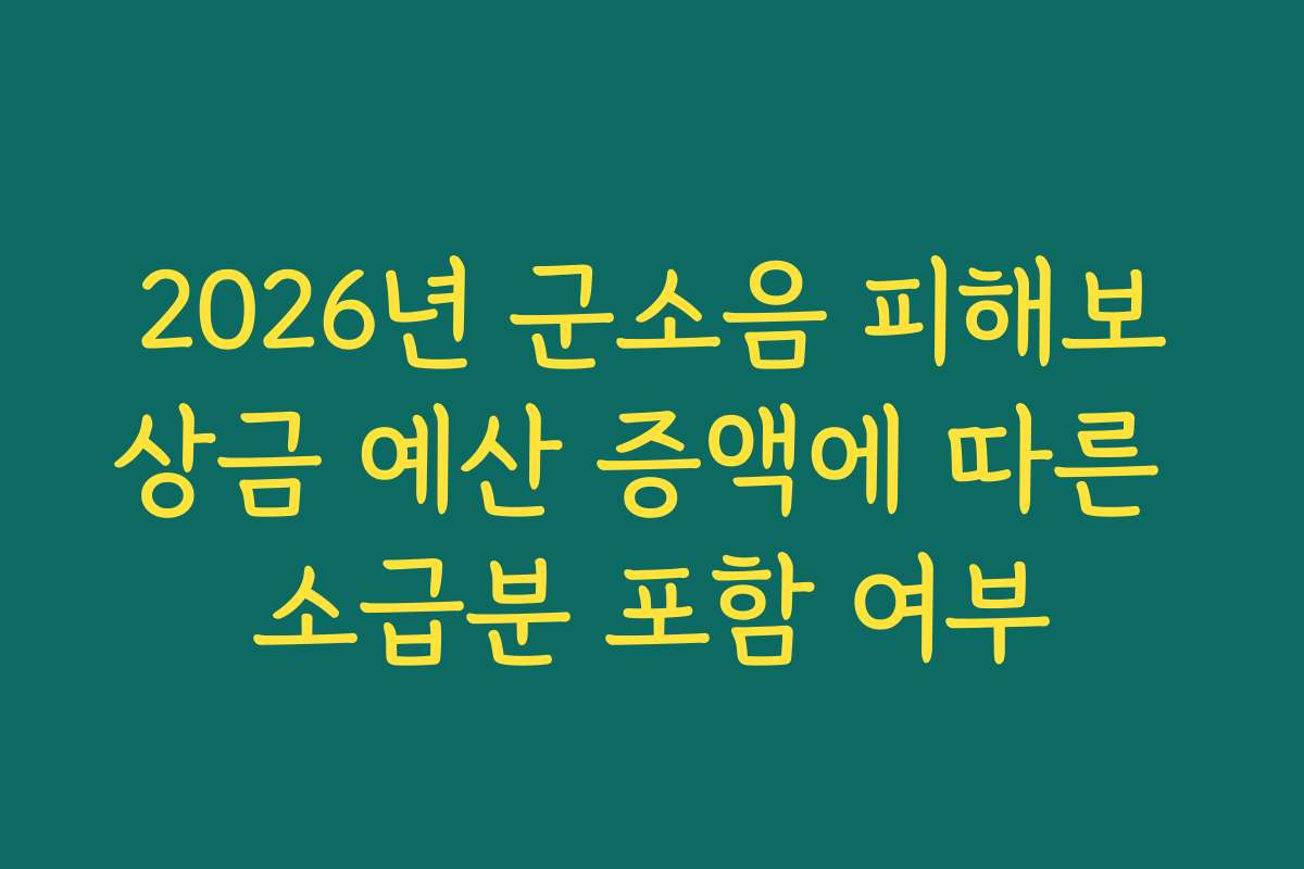 2026년 군소음 피해보상금 예산 증액에 따른 소급분 포함 여부