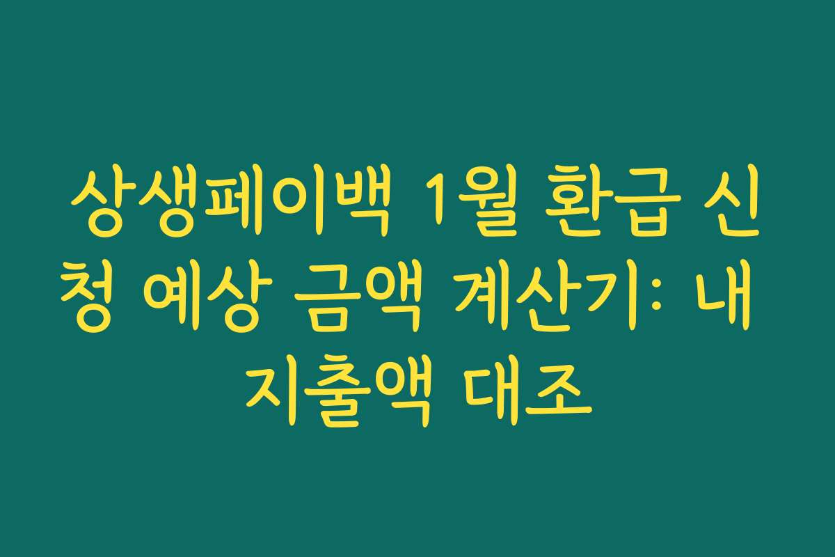 상생페이백 1월 환급 신청 예상 금액 계산기: 내 지출액 대조