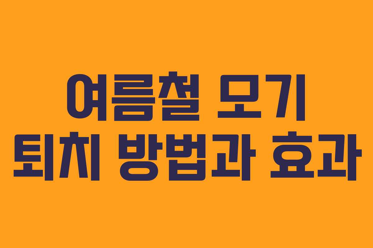 여름철 모기 퇴치 방법과 효과