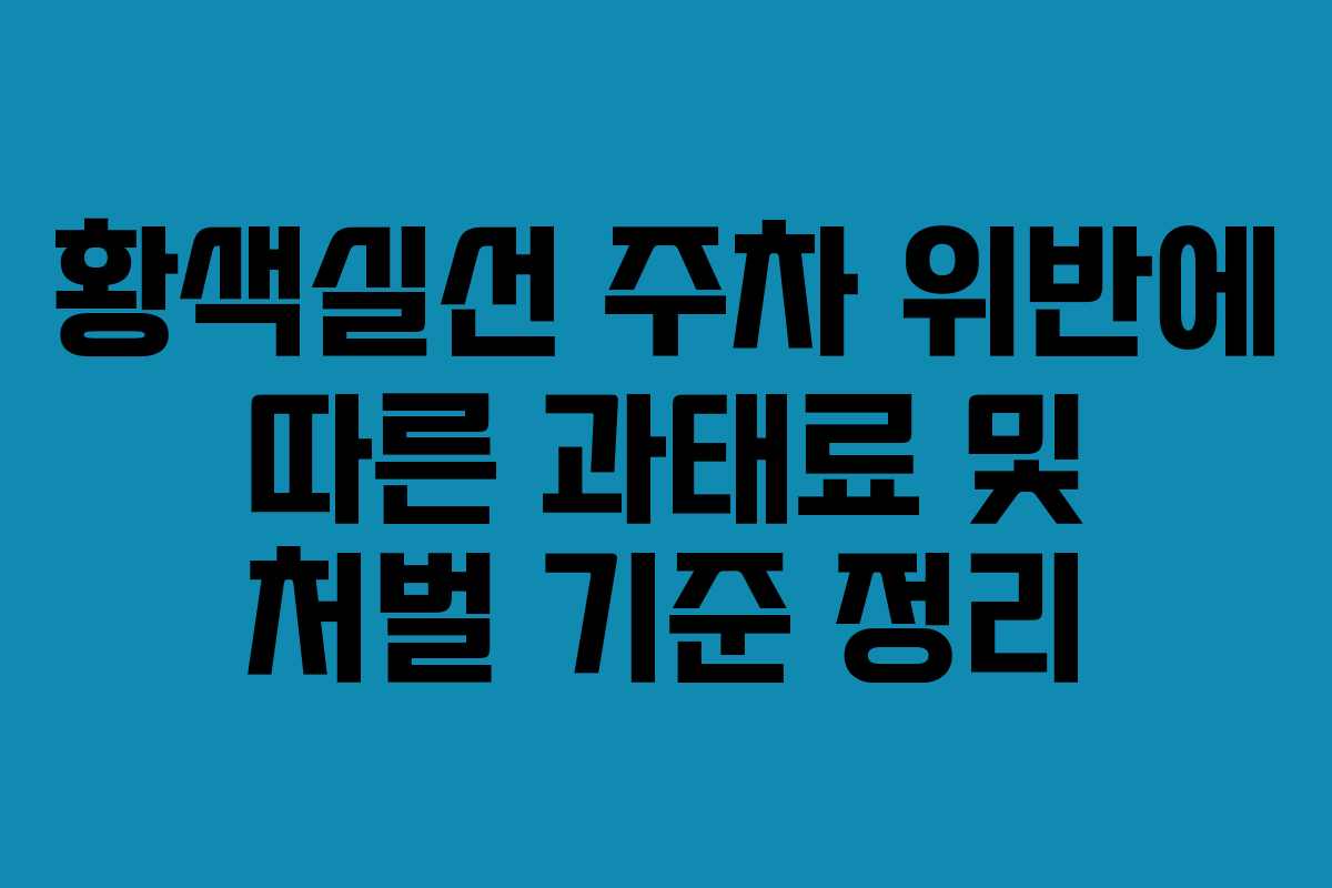 황색실선 주차 위반에 따른 과태료 및 처벌 기준 정리