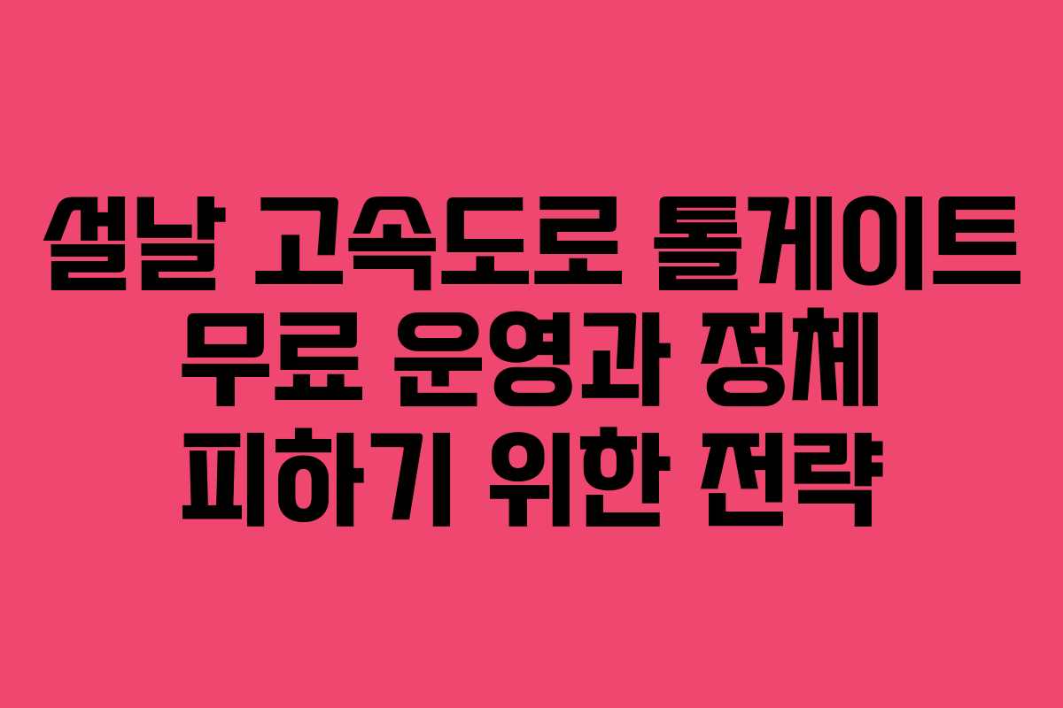 설날 고속도로 톨게이트 무료 운영과 정체 피하기 위한 전략