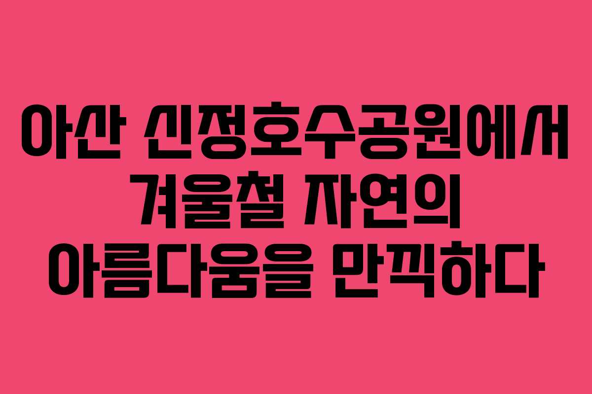 아산 신정호수공원에서 겨울철 자연의 아름다움을 만끽하다