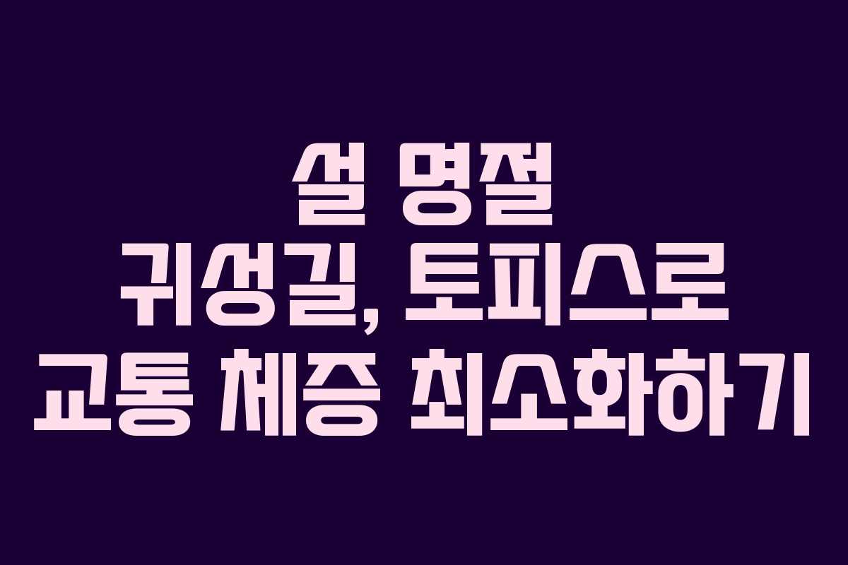 설 명절 귀성길, 토피스로 교통 체증 최소화하기