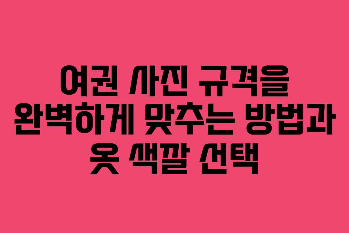 여권 사진 규격을 완벽하게 맞추는 방법과 옷 색깔 선택