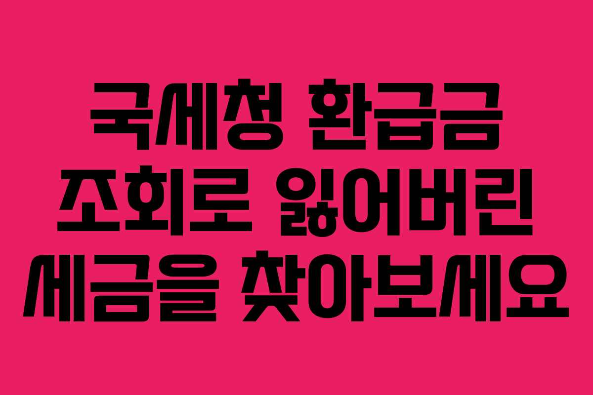 국세청 환급금 조회로 잃어버린 세금을 찾아보세요