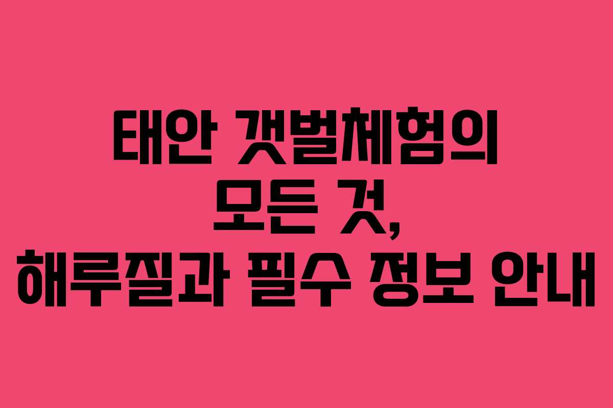 태안 갯벌체험의 모든 것, 해루질과 필수 정보 안내