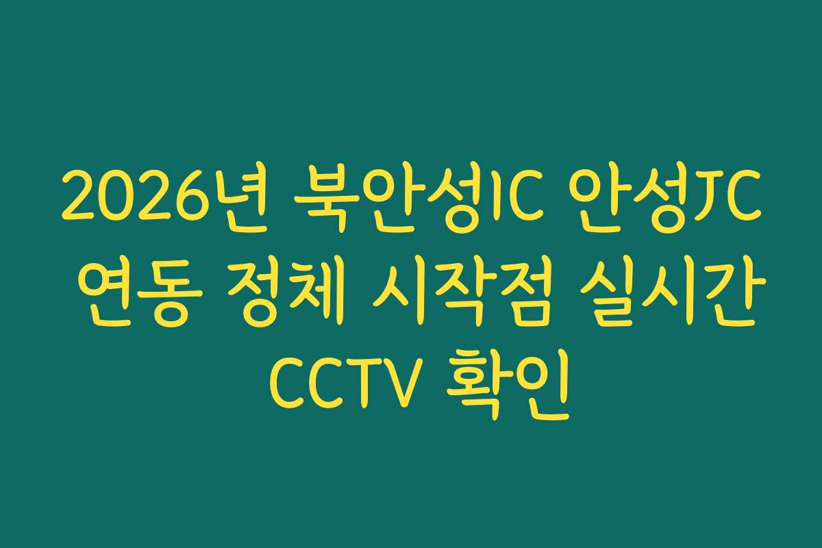 2026년 북안성IC 안성JC 연동 정체 시작점 실시간 CCTV 확인