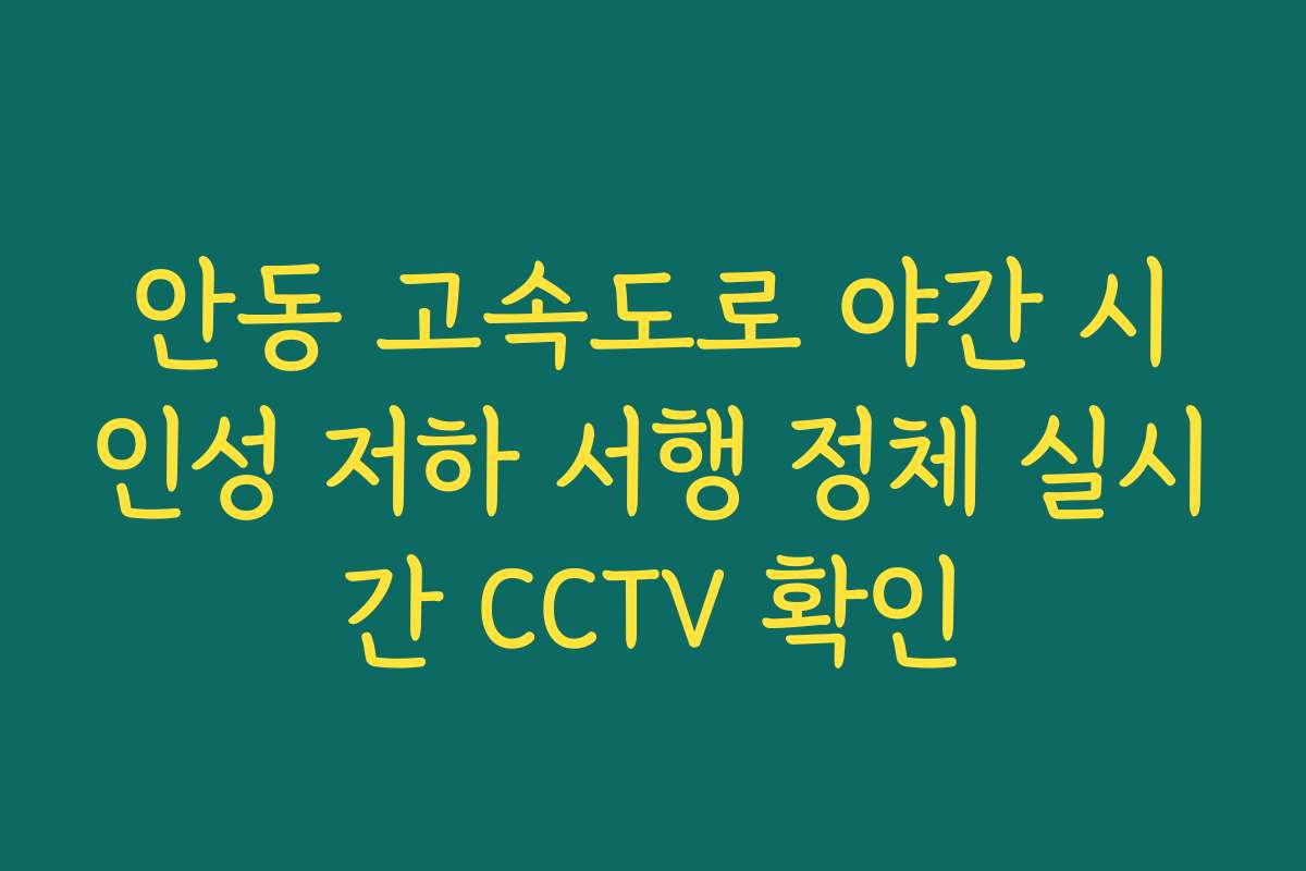 안동 고속도로 야간 시인성 저하 서행 정체 실시간 CCTV 확인