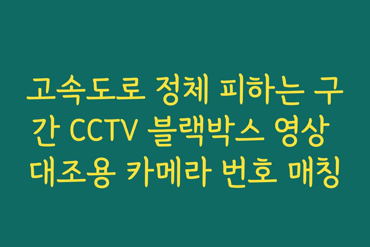 고속도로 정체 피하는 구간 CCTV 블랙박스 영상 대조용 카메라 번호 매칭