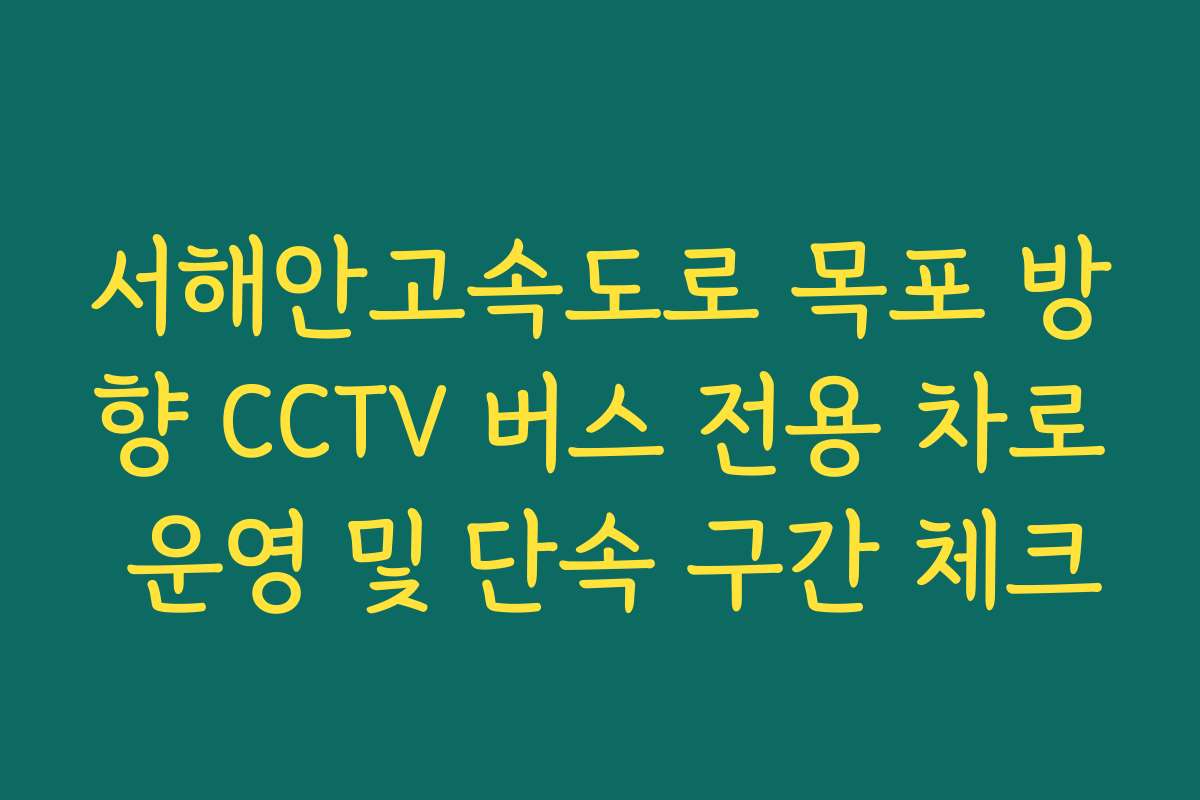 서해안고속도로 목포 방향 CCTV 버스 전용 차로 운영 및 단속 구간 체크