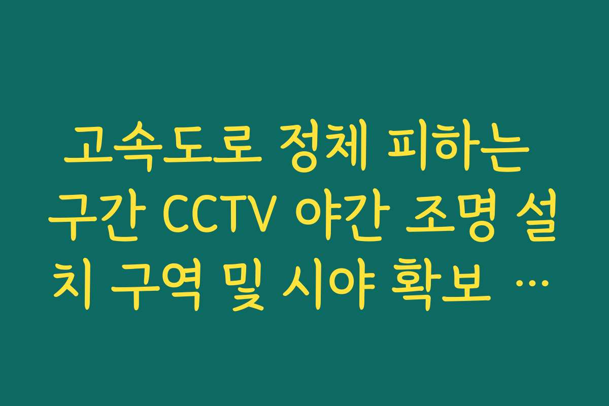 고속도로 정체 피하는 구간 CCTV 야간 조명 설치 구역 및 시야 확보 체크