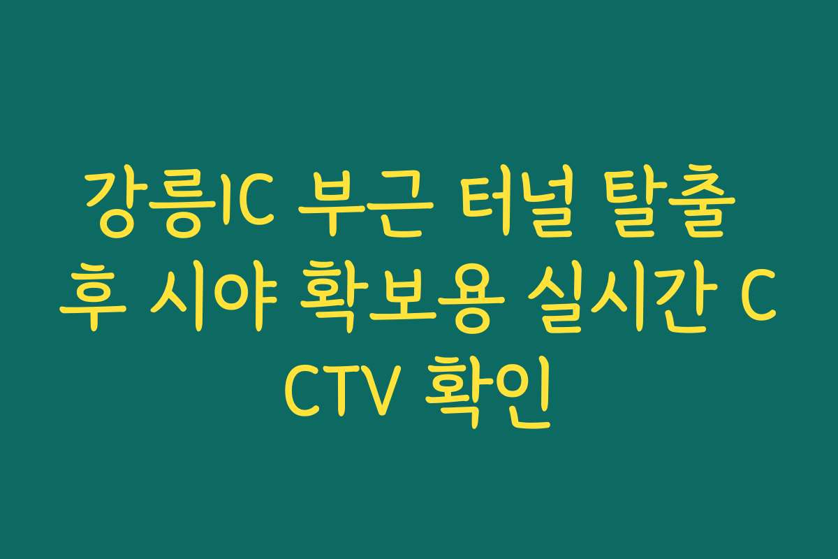 강릉IC 부근 터널 탈출 후 시야 확보용 실시간 CCTV 확인