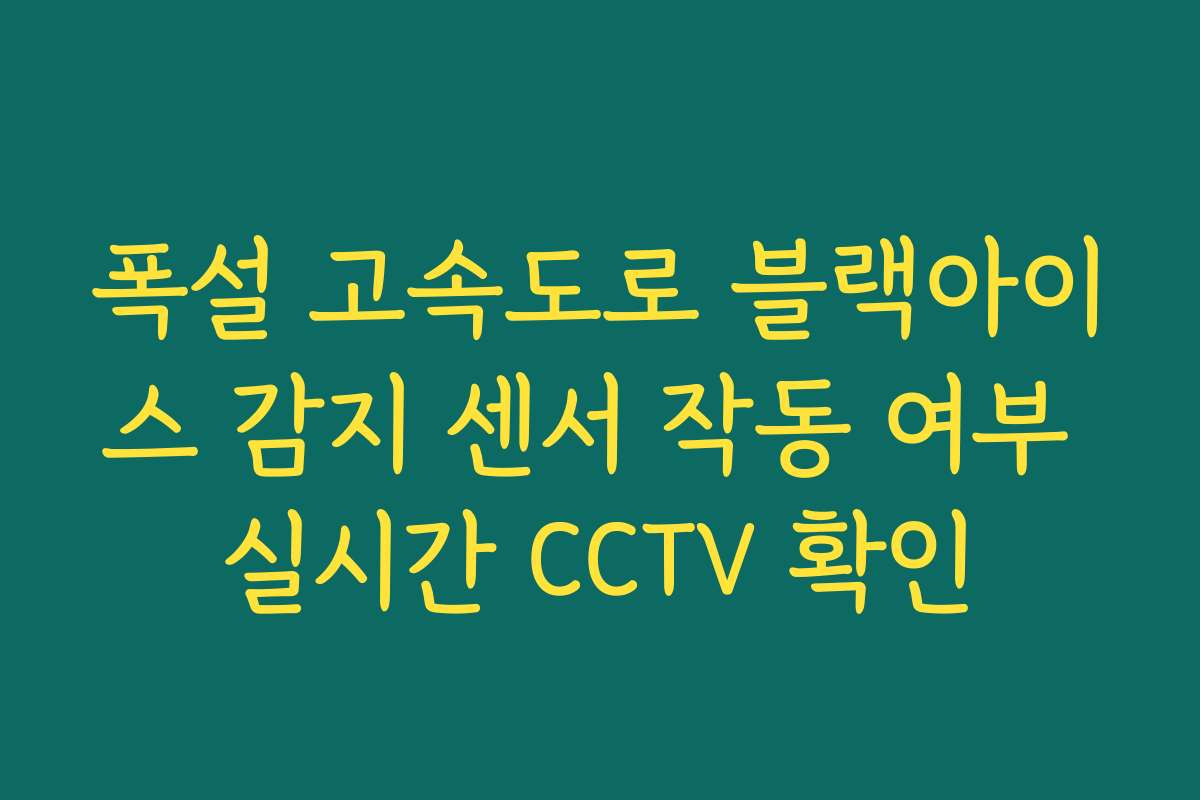 폭설 고속도로 블랙아이스 감지 센서 작동 여부 실시간 CCTV 확인
