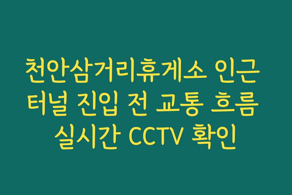 천안삼거리휴게소 인근 터널 진입 전 교통 흐름 실시간 CCTV 확인