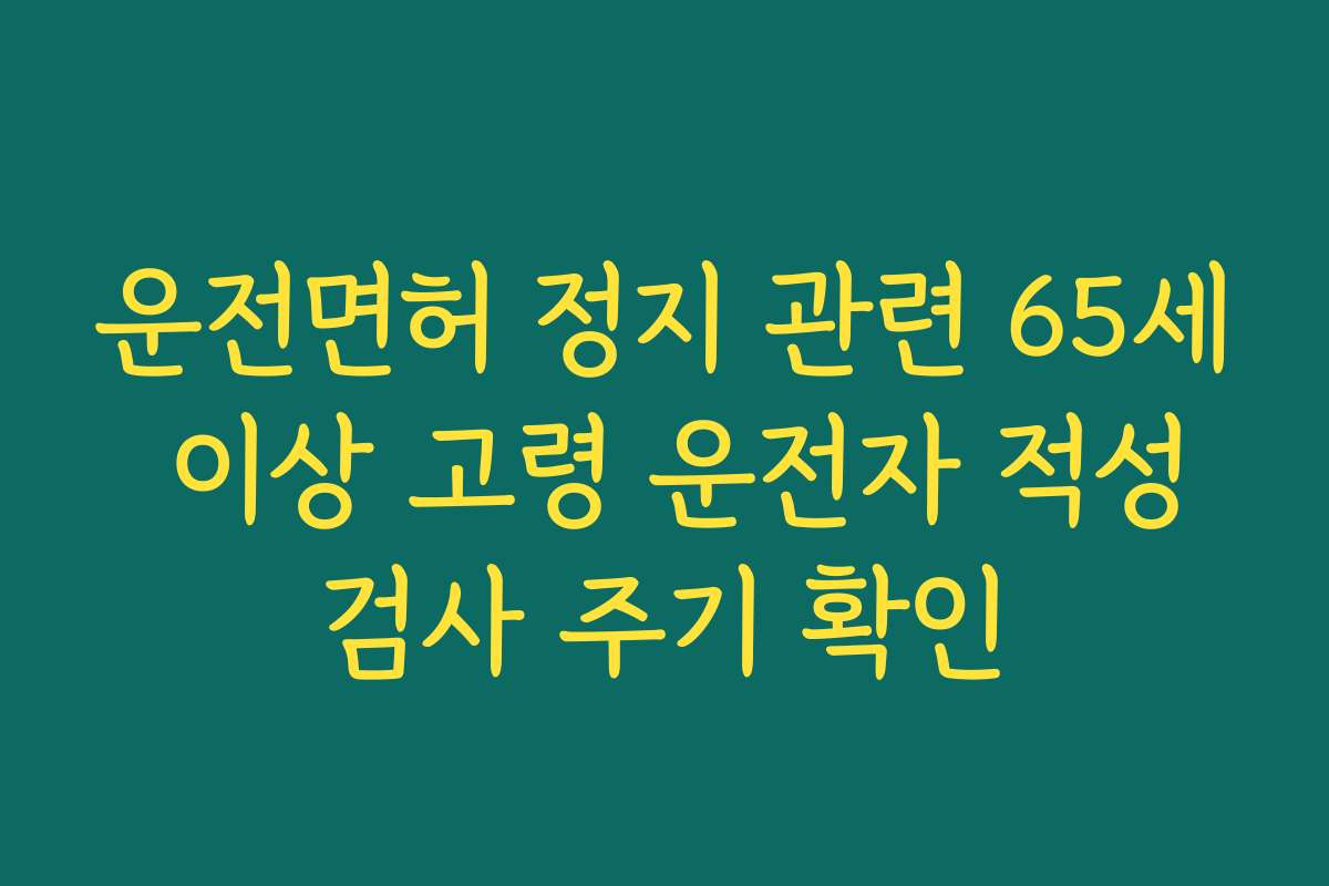 운전면허 정지 관련 65세 이상 고령 운전자 적성검사 주기 확인