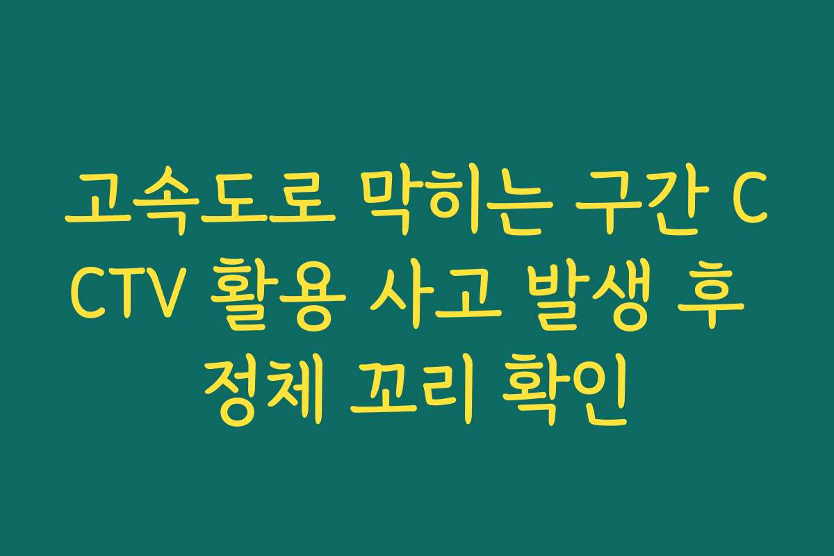 고속도로 막히는 구간 CCTV 활용 사고 발생 후 정체 꼬리 확인