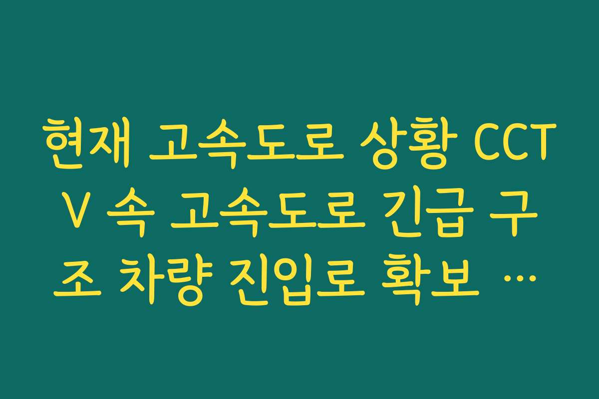 현재 고속도로 상황 CCTV 속 고속도로 긴급 구조 차량 진입로 확보 확인