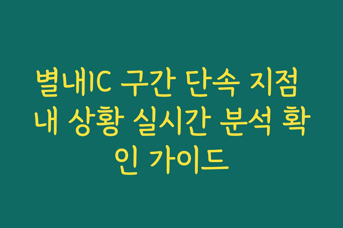 별내IC 구간 단속 지점 내 상황 실시간 분석 확인 가이드