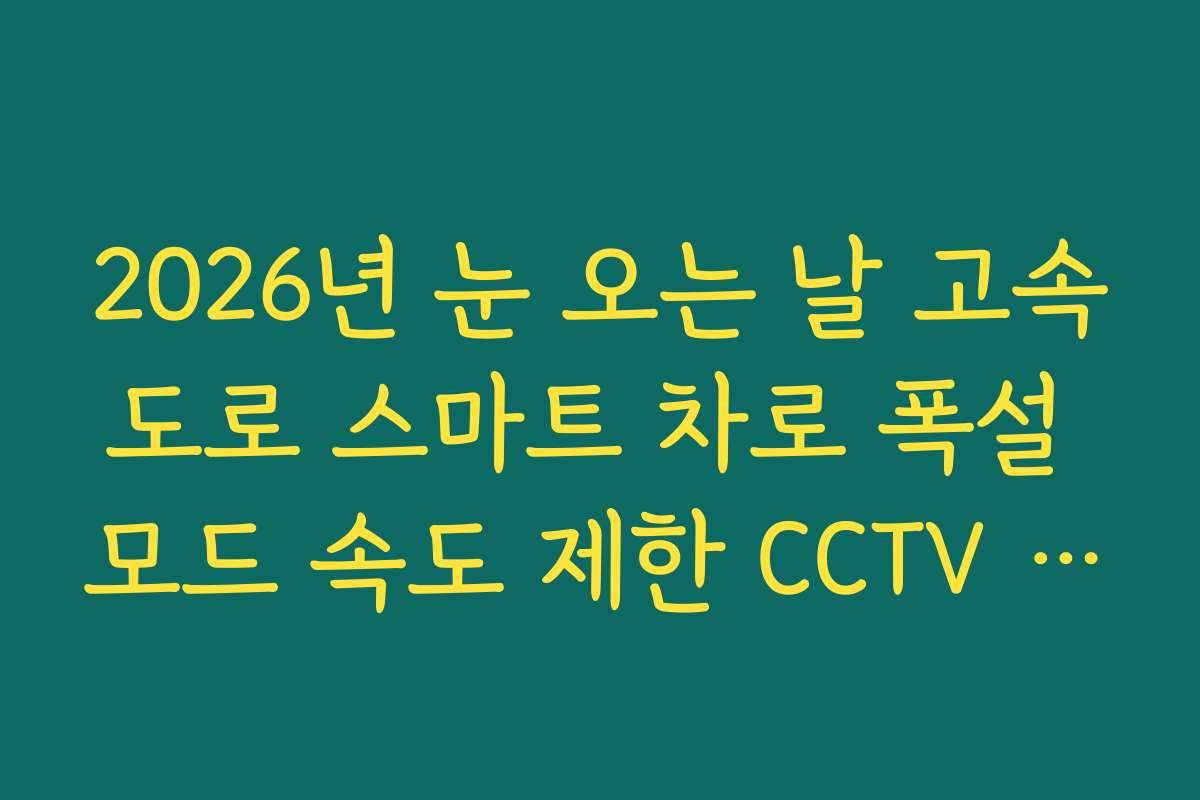 2026년 눈 오는 날 고속도로 스마트 차로 폭설 모드 속도 제한 CCTV 확인
