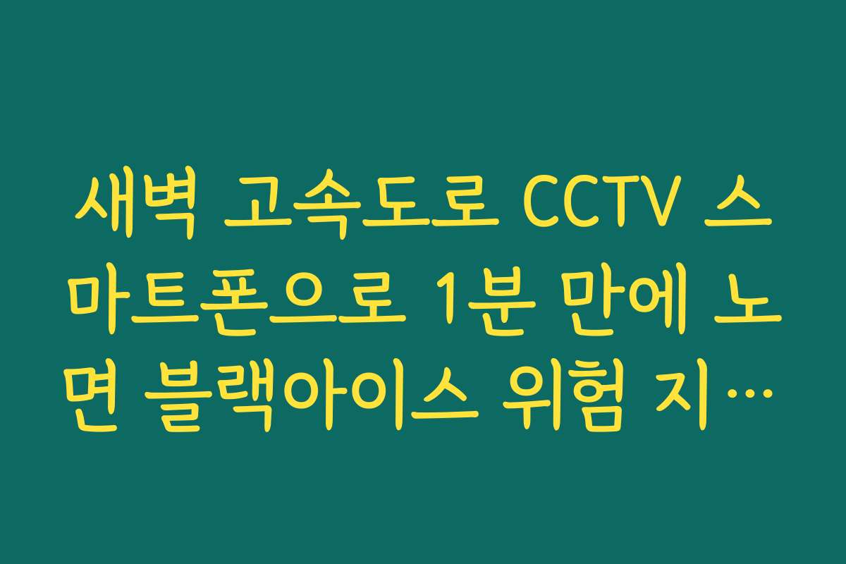 새벽 고속도로 CCTV 스마트폰으로 1분 만에 노면 블랙아이스 위험 지점 파악