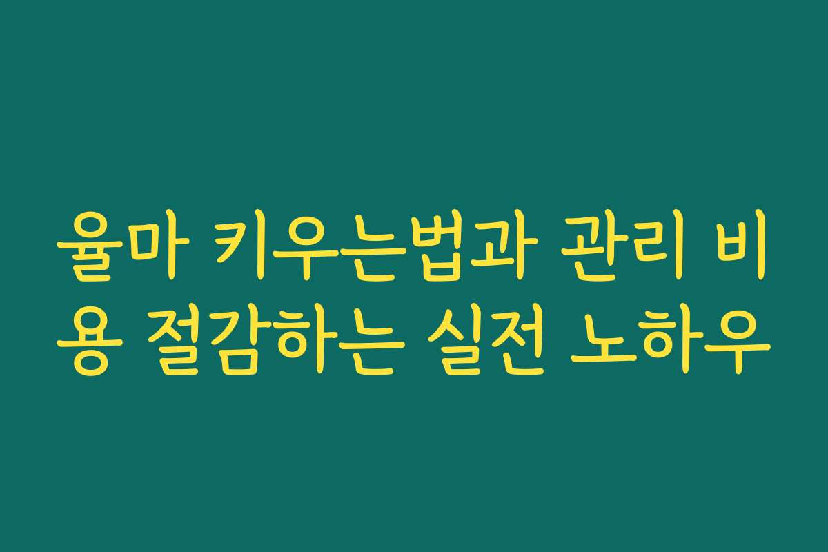 율마 키우는법과 관리 비용 절감하는 실전 노하우