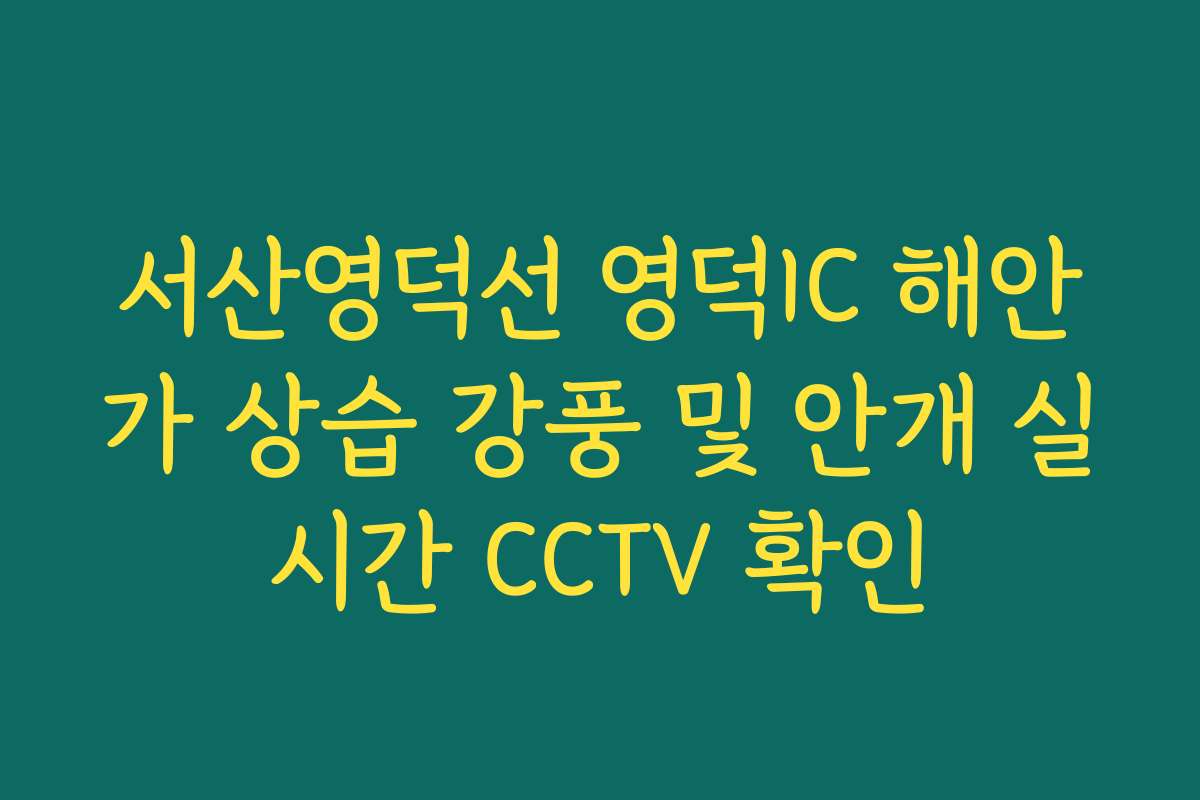 서산영덕선 영덕IC 해안가 상습 강풍 및 안개 실시간 CCTV 확인