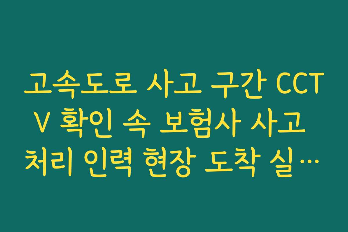 고속도로 사고 구간 CCTV 확인 속 보험사 사고 처리 인력 현장 도착 실시간 확인
