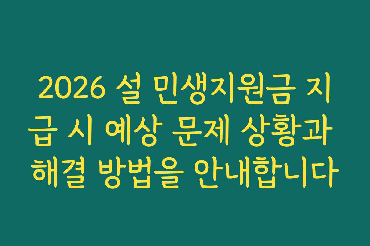 2026 설 민생지원금 지급 시 예상 문제 상황과 해결 방법을 안내합니다
