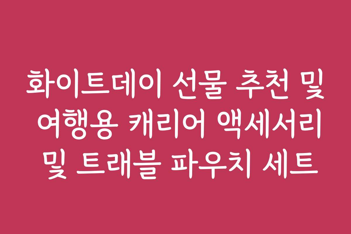 화이트데이 선물 추천 및 여행용 캐리어 액세서리 및 트래블 파우치 세트