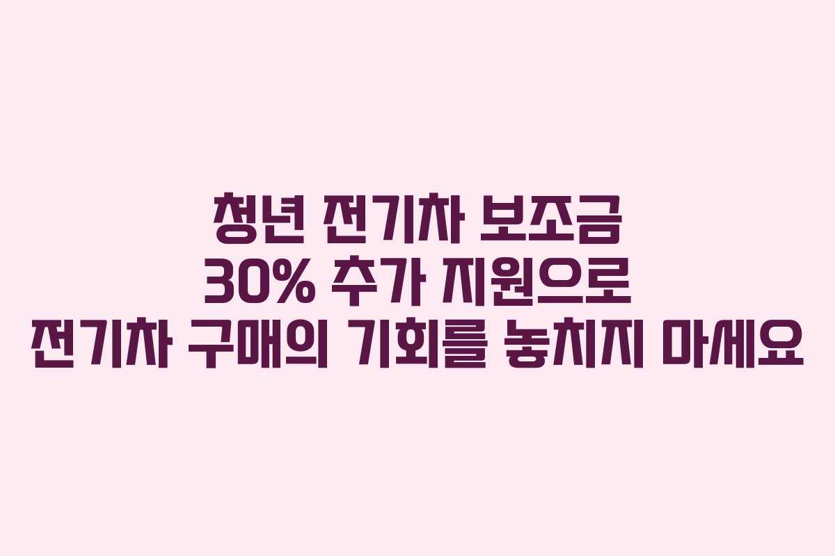 청년 전기차 보조금 30% 추가 지원으로 전기차 구매의 기회를 놓치지 마세요