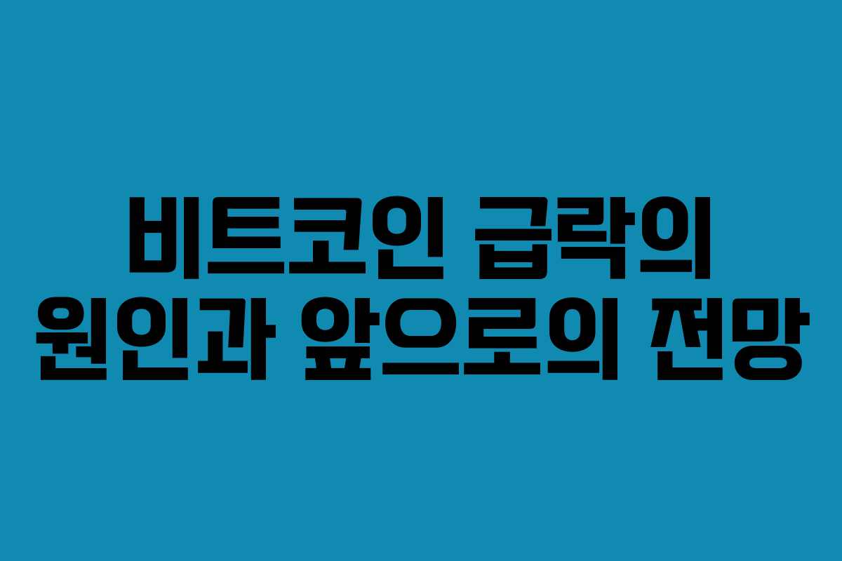 비트코인 급락의 원인과 앞으로의 전망