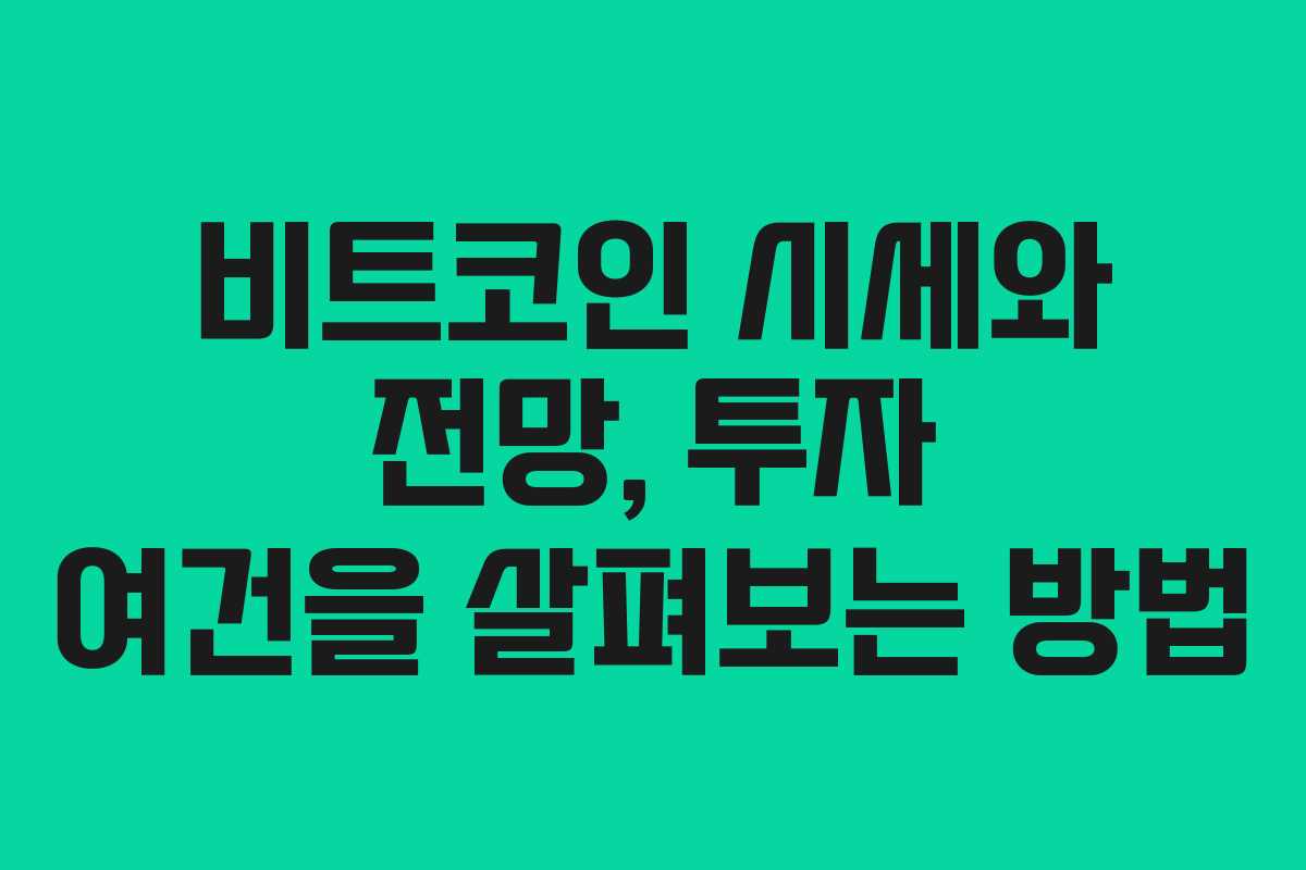 비트코인 시세와 전망, 투자 여건을 살펴보는 방법