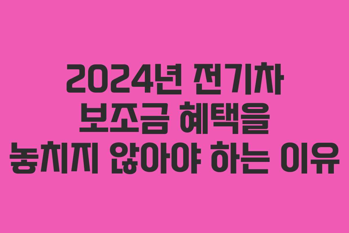 2024년 전기차 보조금 혜택을 놓치지 않아야 하는 이유