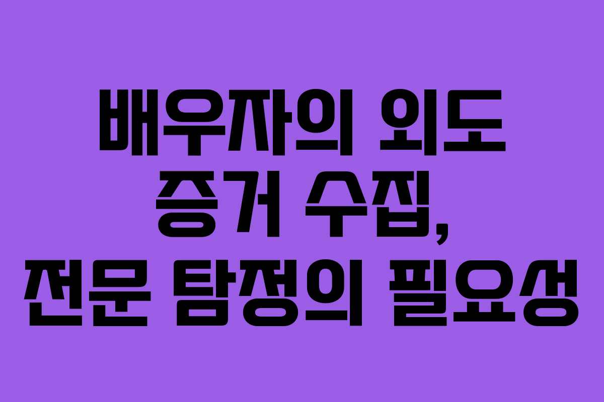 배우자의 외도 증거 수집, 전문 탐정의 필요성