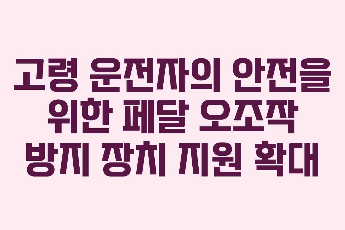 고령 운전자의 안전을 위한 페달 오조작 방지 장치 지원 확대